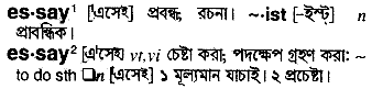 essay meaning to bengali